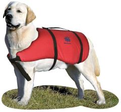 Salvagente Pet Vest 20-40 Kg 