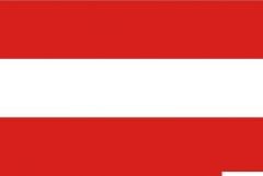 Bandiera Austria 20 x 30 cm 