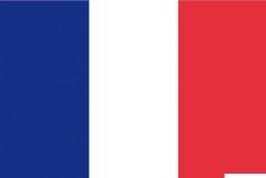 Bandiera Francia 50 x 75 cm 