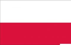Bandiera Polonia 30 x 45 cm 