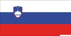Bandiera Slovenia 50 x 75 cm 