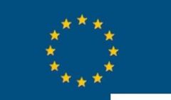 Bandiera Europa con Italia 20 x 30 cm 