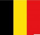 Bandiera Belgio 20 x 30 cm 