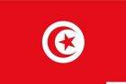 Bandiera Tunisia 40 x 60 cm 